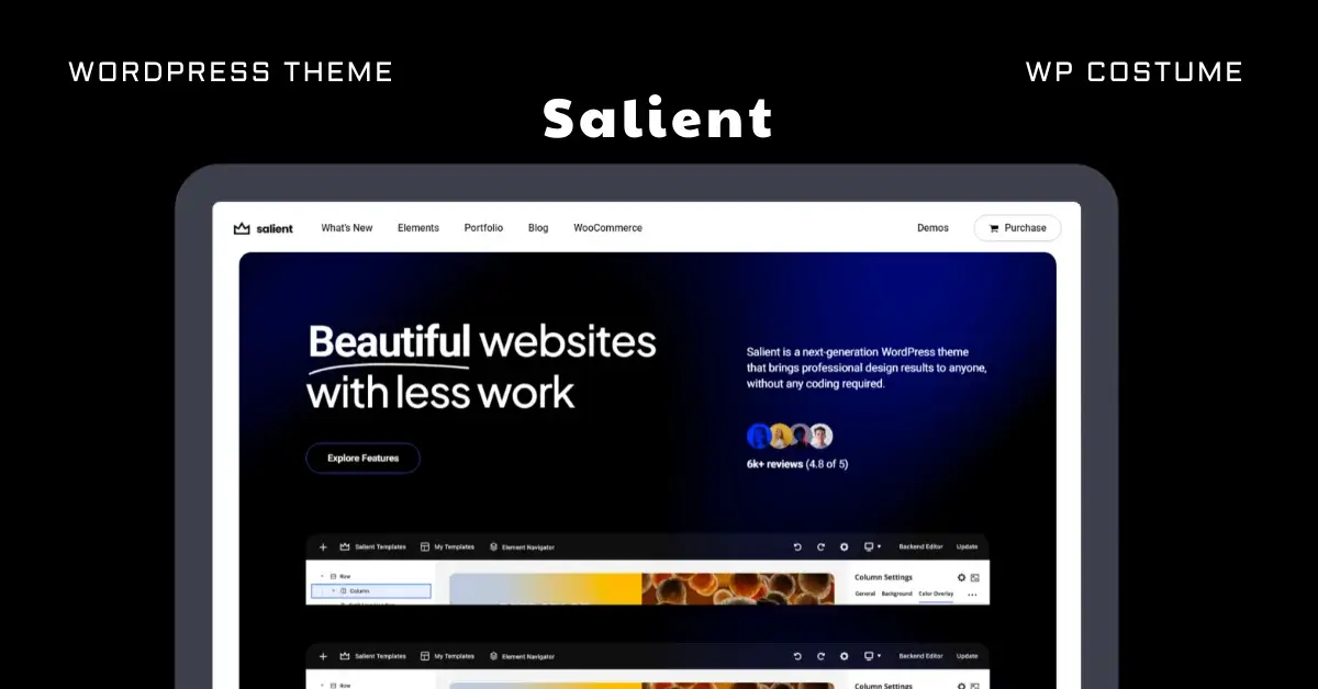 salient-wordpress-theme